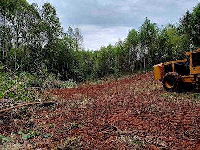 0 Forest Rd, Lynchburg, VA 24502 - photo 6