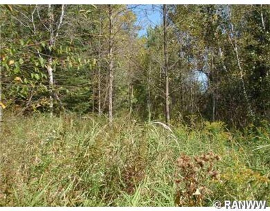 0 Edming Rd, True, WI 54526 - photo 5