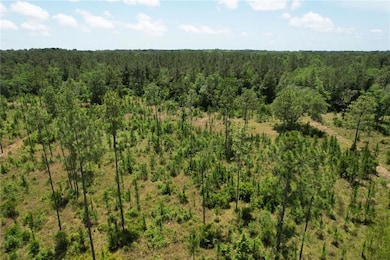 View of woods
