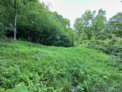 Cleared house site