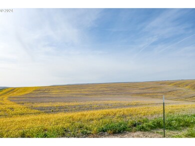 43803 Mckay Dr, Pendleton, OR 97801 - photo 7