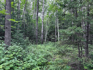 TBD U S Highway 71, Littlefork, MN 56653 - photo 7