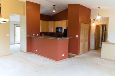 1203 Brookdale Dr, Carpentersville, IL 60110 - photo 4