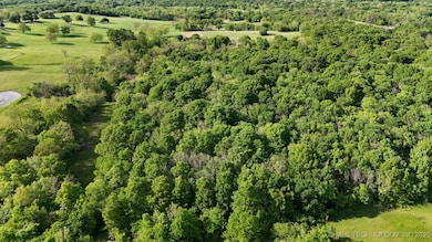 wooded area