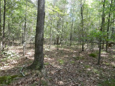 2136 S Chapel Hill Church Rd, Denton, NC 27239 - photo 4