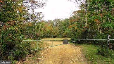 105 Big Run Rd, Howard, PA 16841 - photo 6