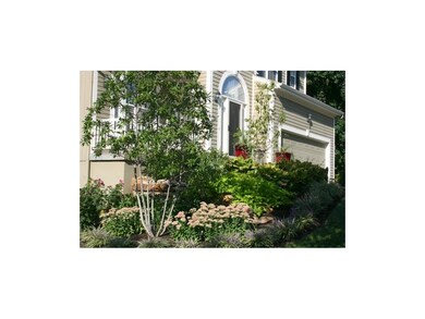 Beautiful Landscaping
