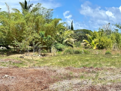 Looking across the property at the rear corner