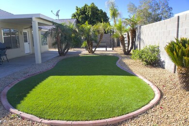 June st backyard