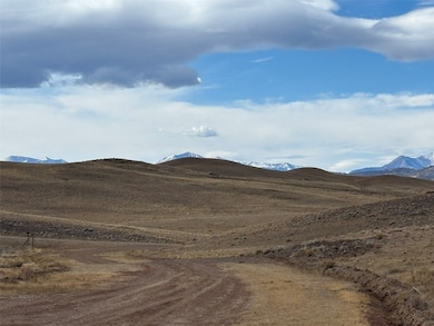 3779 Uxta Trail, Hartsel, CO 80449 - photo 3