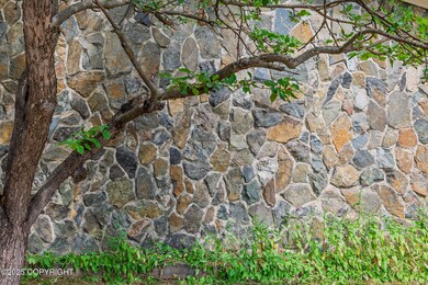 290 Park St, Anchorage, AK 99508 - photo 5