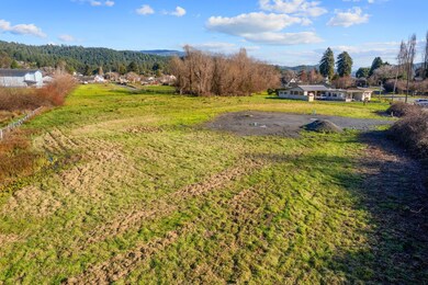 5-web-or-mls-DJI_0041_1