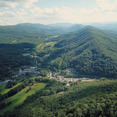 DR #50 N Forest Trail, Hot Springs, VA 24445 - photo 5