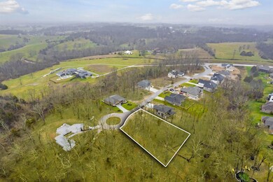 403 W Declan, Nixa, MO 65714 - photo 3