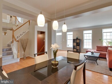 42915 Overly Square, Chantilly, VA 20152 - photo 7