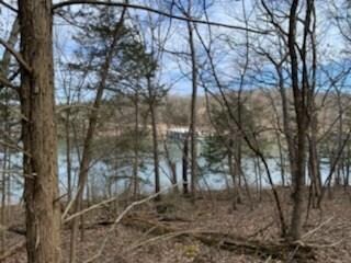 11.8 acres of wooded lakefront