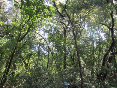 IMG_6914