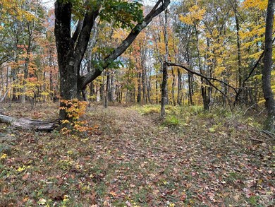 1 W Hill Rd, Austerlitz, NY 12017 - photo 4