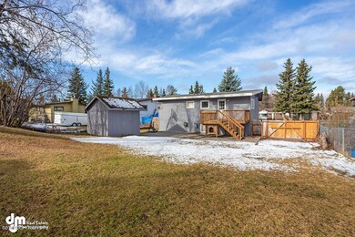 Backyard 5041-SMALL