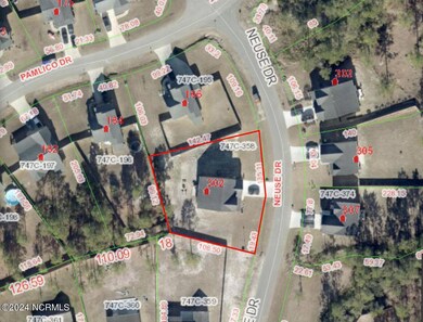 aerial 302 Neuse