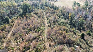 0 George Strickland Rd unit 10626764, Claxton, GA 30417 - photo 5