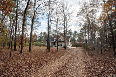 230 Island Shores Dr, Drasco, AR 72530 - photo 3