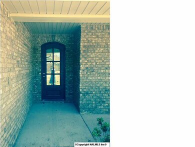 Wrought Iron Front Door, This door would be an UPGRADE anywhere else!!