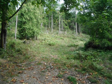 0 Fisk Rd E unit 693308, Orting, WA 98360 - photo 5