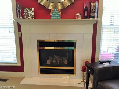 Gas Log Fireplace