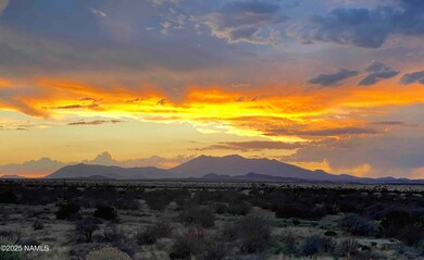 12957 Mineshaft Trail, Flagstaff, AZ 86004 - photo 6