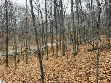 Lot 57 Valley Run Rd unit 57, Custer Township, MI 49615 - photo 5