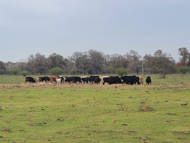 2517 N Bar, Rosenberg, TX 77471 - photo 6