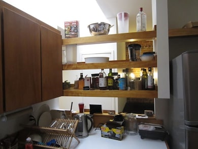 138 W Concord St unit Four, Boston, MA 02118 - photo 5