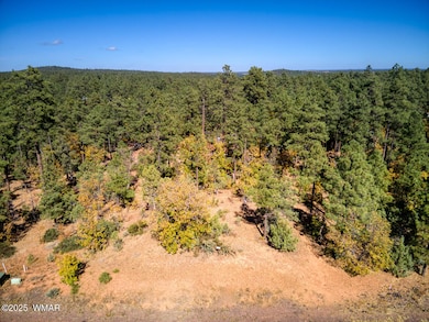 Photo #2- 6994 Leo Ln