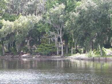 Raggedy Point Shoreline