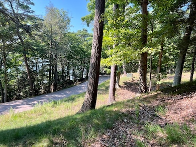 Lot 3 towards Lake Michigan
