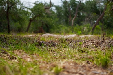 704 Highway 35 S, Rockport, TX 78382 - photo 3