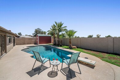 Pool / Back Yard