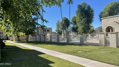 Pool and Grass