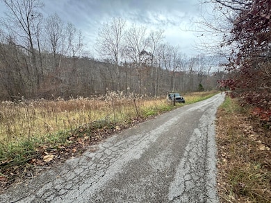 7099 Furnace Rd, Stanton, KY 40380 - photo 3