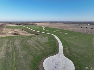1000 Quail Grove Circle (Lot 22), O'Fallon, MO 63366 - photo 7