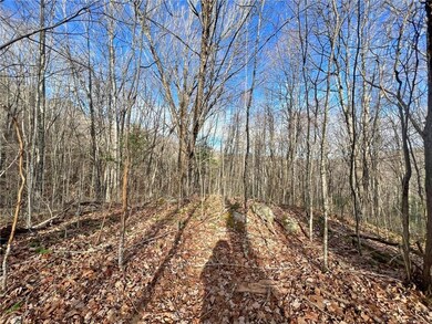 999 Juniper Rd, Clyde, NC 28721 - photo 4