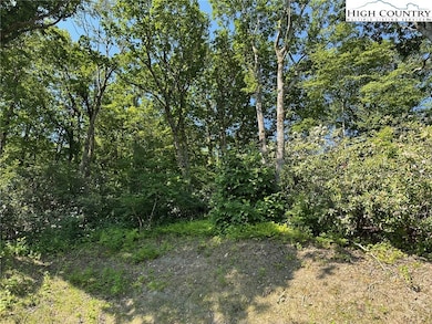 TBD Camden Ln, Blowing Rock, NC 28605 - photo 2