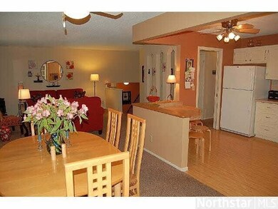 16727 Creekside Ln, Minnetonka, MN 55345 - photo 7