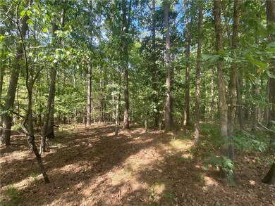 11 Sweet Elm Ln, Broken Bow, OK 74728 - photo 4