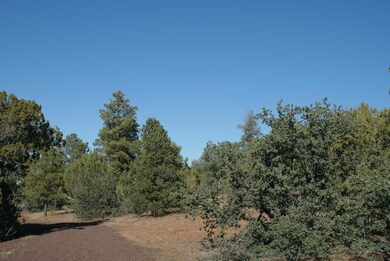 Beautiful Land