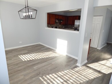 162 Eisenhower Dr unit 1, Oswego, IL 60543 - photo 3