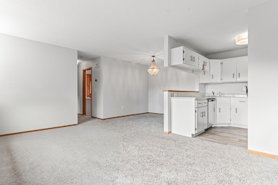 7610 15th Street Ln N unit 907, Saint Paul, MN 55128 - photo 6