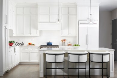 195 N Addison Ave unit 301, Elmhurst, IL 60126 - photo 4