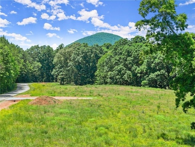 0 Arthur Allen Rd unit 7683303, Cleveland, GA 30528 - photo 6